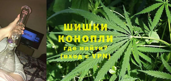 кокс Болотное