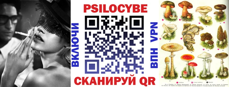 как найти наркотики  Луховицы  Псилоцибиновые грибы Psilocybe 