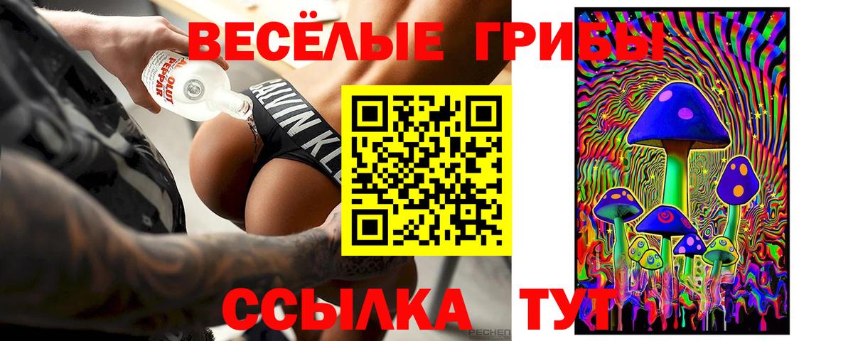 Галлюциногенные грибы Psilocybine cubensis Луховицы